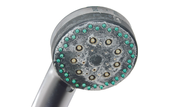 <img width="200" alt="Reasons shower hose with limescale" src="/wp-content/themes/culligan-emea/img/four-reasons-module//reasons-shower-hose-with-limescale.webp" /> Reasons shower hose with limescale