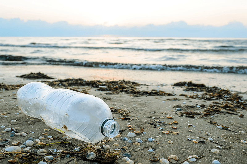 an empty plastic bottle lying on a beach